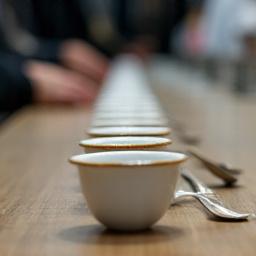 Sessione di cupping professionale con tazze di caffè allineate